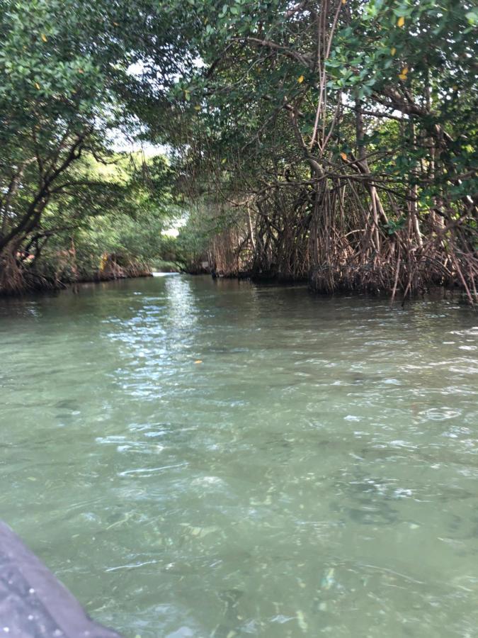 Paraiso Na Ilha Da Gigoia Рио де Жанейро Екстериор снимка