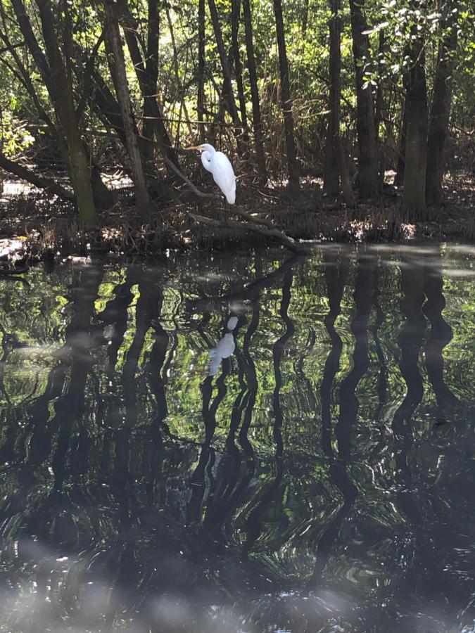 Paraiso Na Ilha Da Gigoia Рио де Жанейро Екстериор снимка
